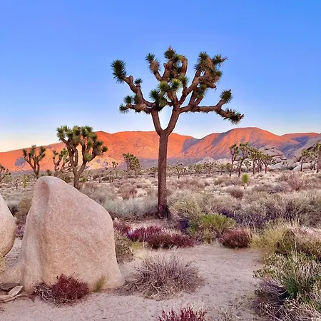 The Joshua Tree House Villa Exterior photo