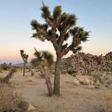 The Joshua Tree House Villa Exterior photo