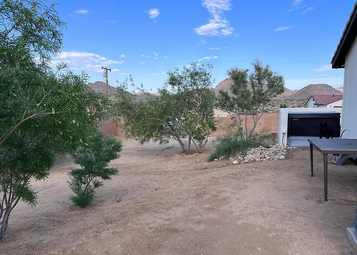 The Joshua Tree House