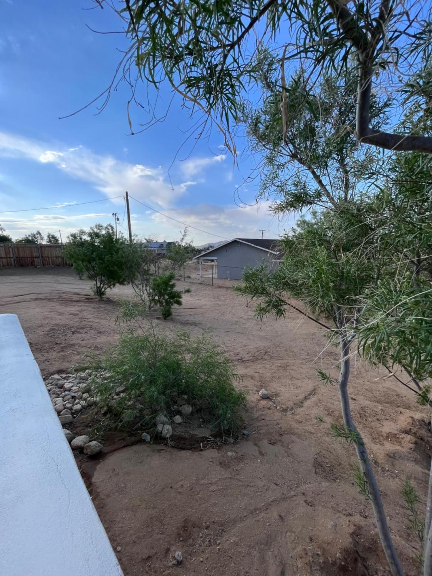 The House * Joshua Tree