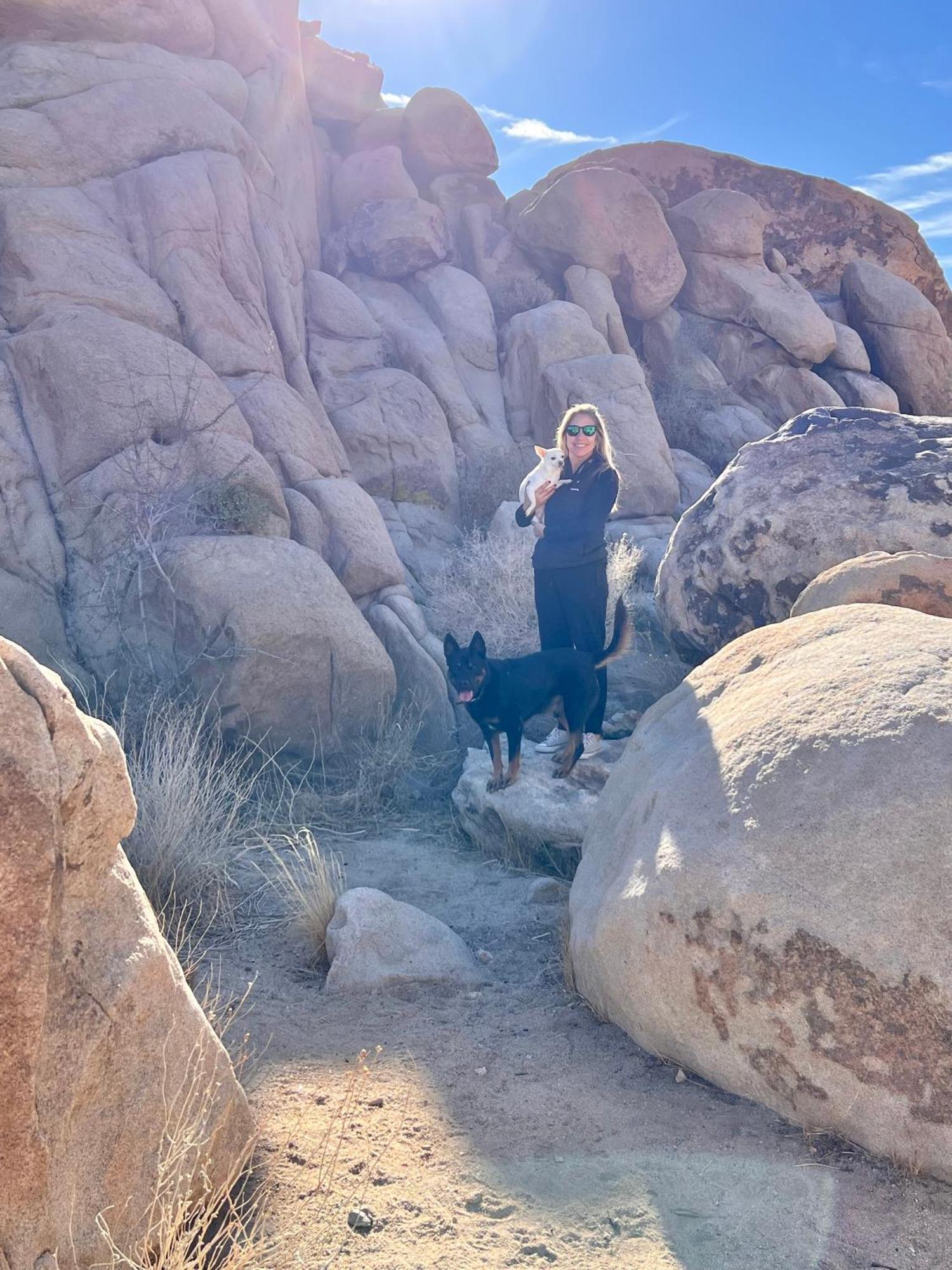 The House Joshua Tree