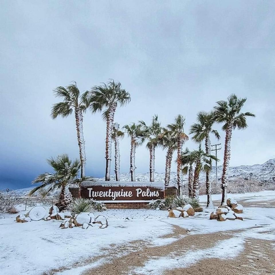The House Joshua Tree